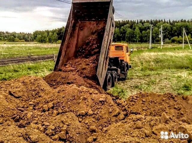 Что такое отводки черенков Что такое отводки черенков