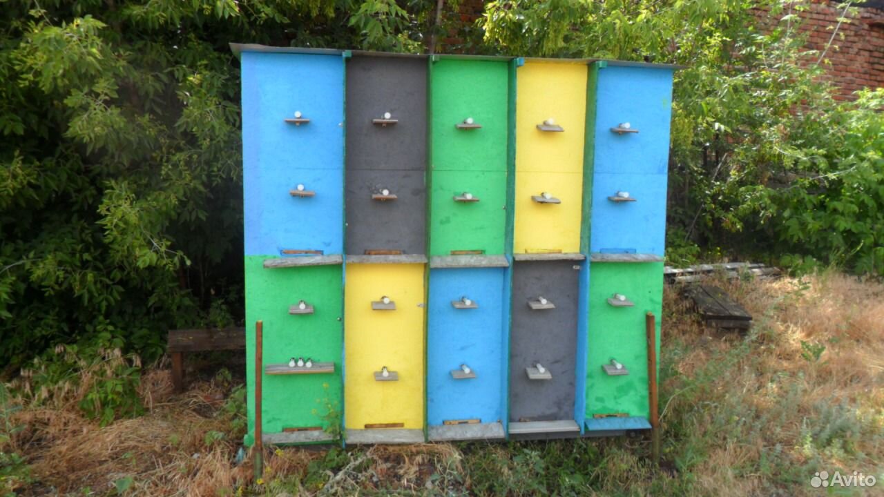 Улей для пчел (пчелопавильон-касетник на 10 семей) купить на Зозу.ру - фотография № 1