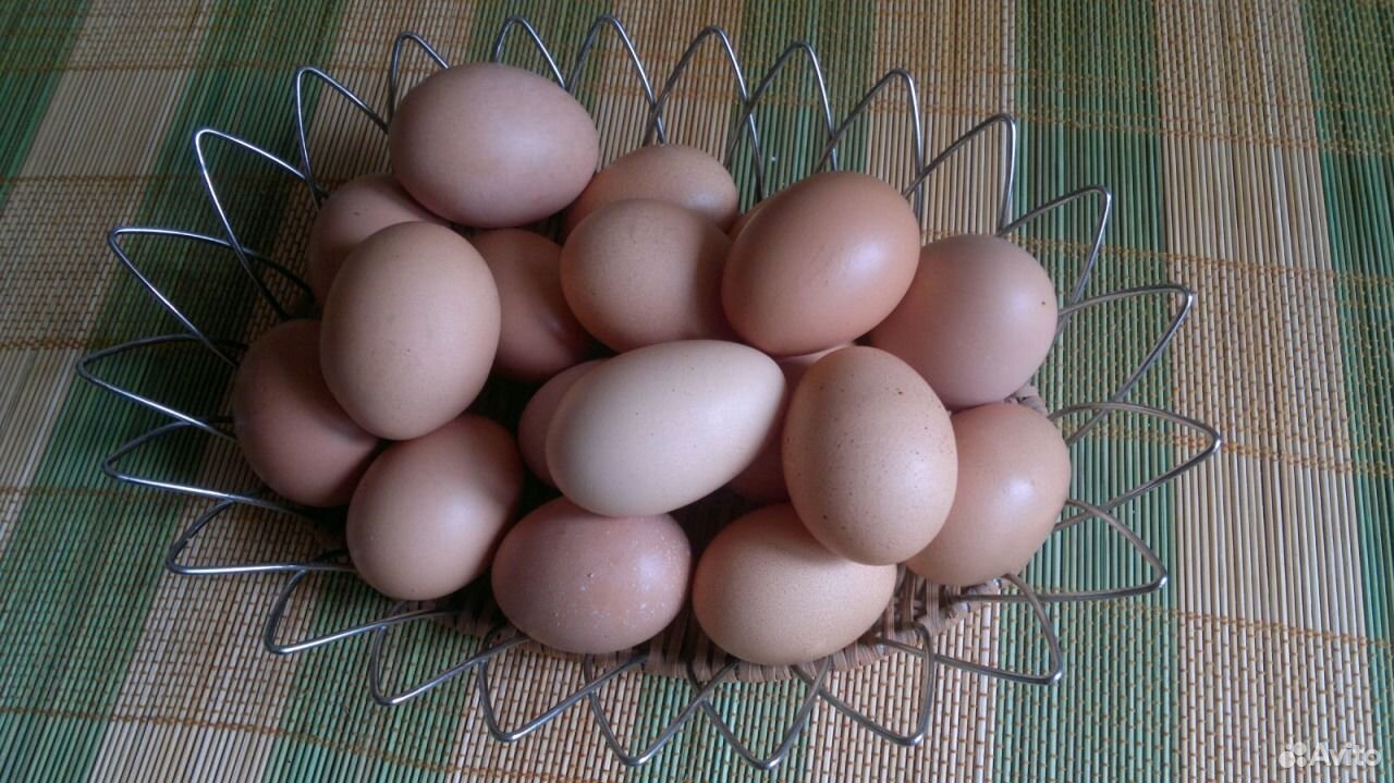 Куриные яйца купить на Зозу.ру - фотография № 2