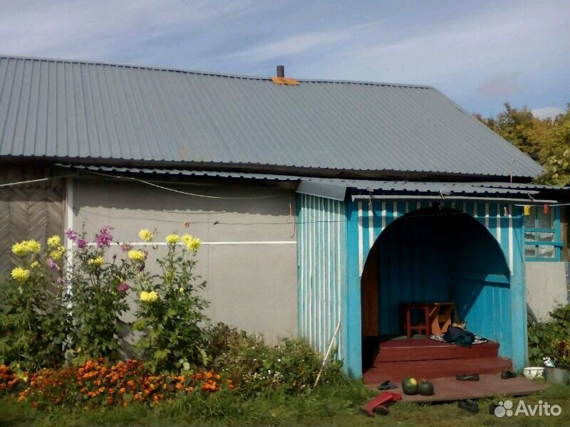 Акулово алтайский край. Акулово с Барнаула. Акулово Алтайский край фото.