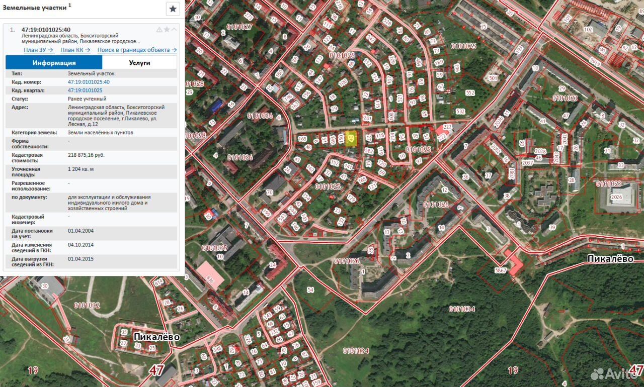 Кадастровая карта пикалево