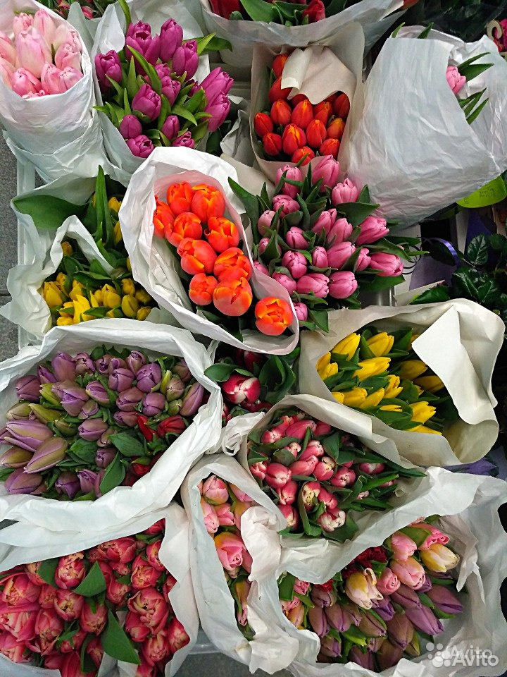 Сайт дешево воронеж. База цветов тюльпанов. Тюльпаны на рынке. Цветочная база тюльпан. Оптовая база цветов в Воронеже.