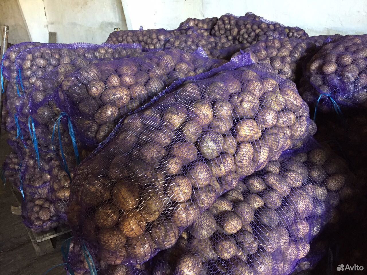 Картофель Гала в сетках