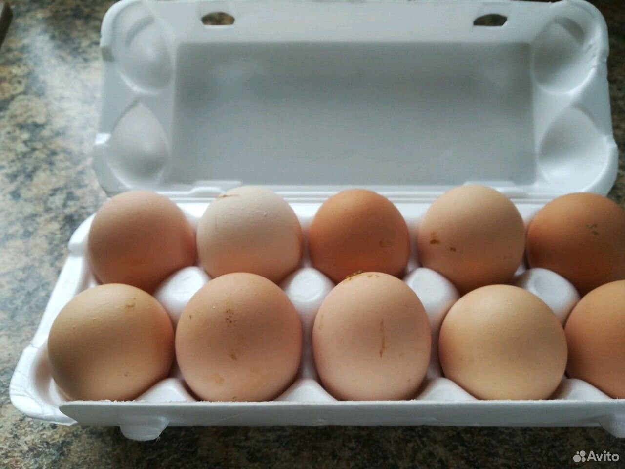 Купить яйца джерсийских гигантов. Джерсийский гигант яйцо. Десяток яиц. Яйца джерсийского гиганта фото. Яйцо джерсийского гиганта фото вес.