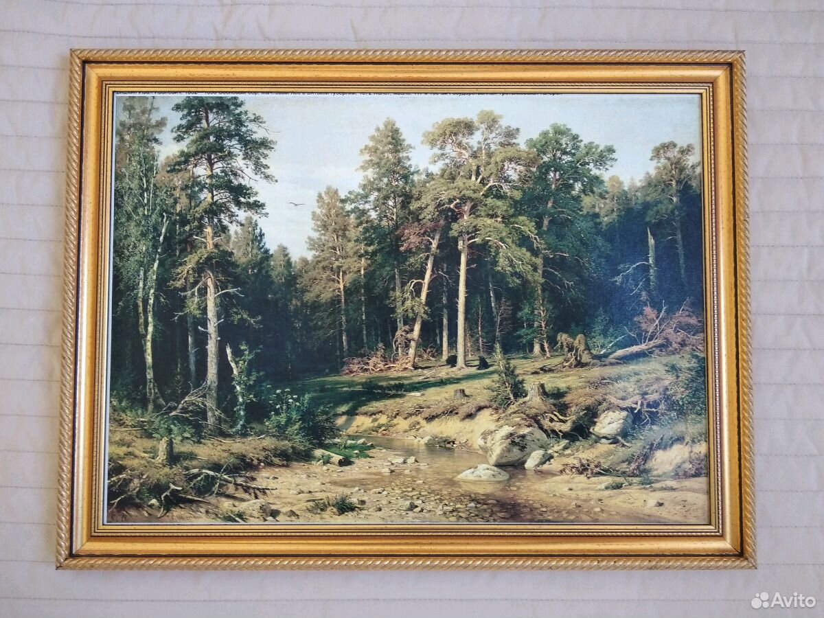 Сосновый Бор мачтовый лес в Вятской губернии