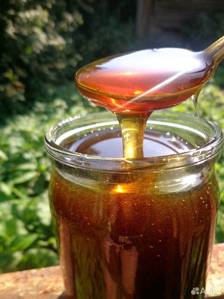 Продаю мед купить на Зозу.ру - фотография № 1