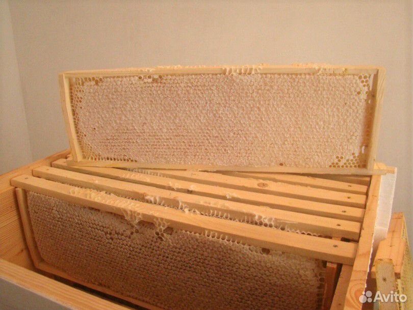 Сотовый мед, мёд в сотах в рамке купить на Зозу.ру - фотография № 1