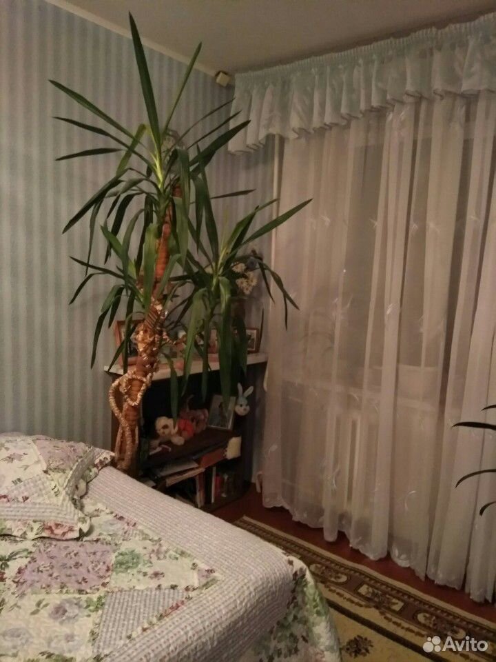 Пальма, высота 2 метра купить на Зозу.ру - фотография № 2