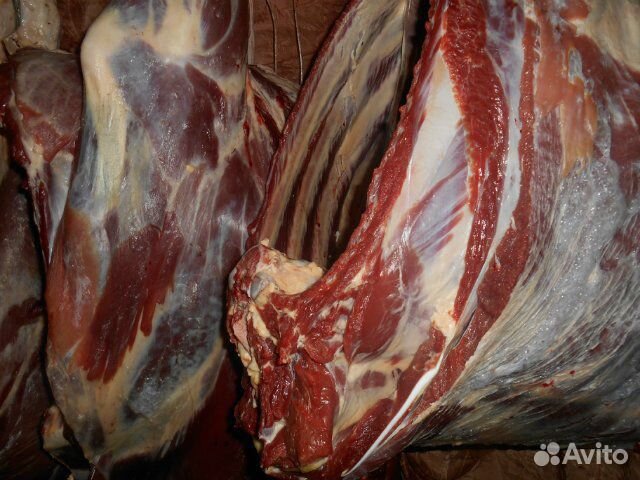 Мясо телятина купить на Зозу.ру - фотография № 1