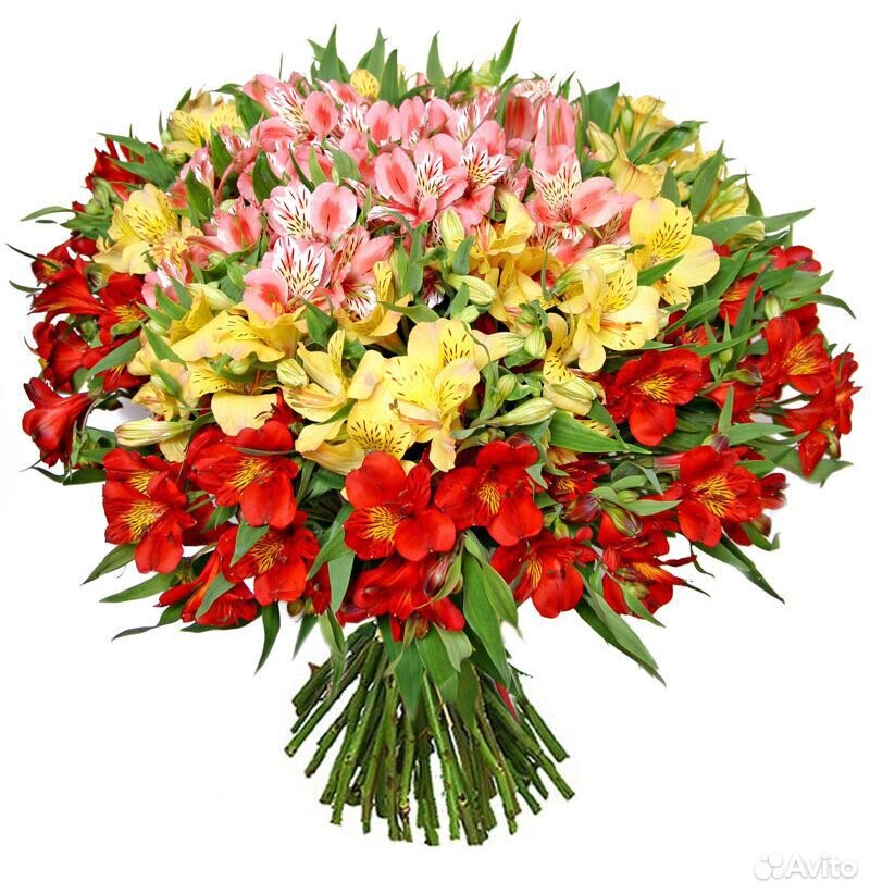 Цветы доставка купить на Зозу.ру - фотография № 2