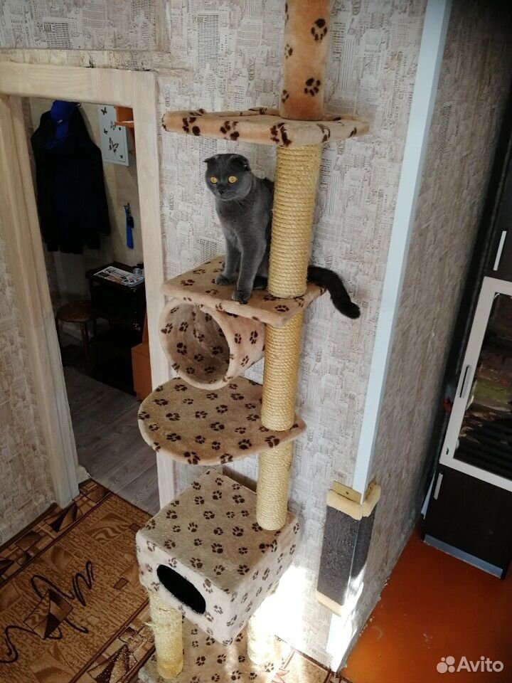 Домик для кошек купить на Зозу.ру - фотография № 1