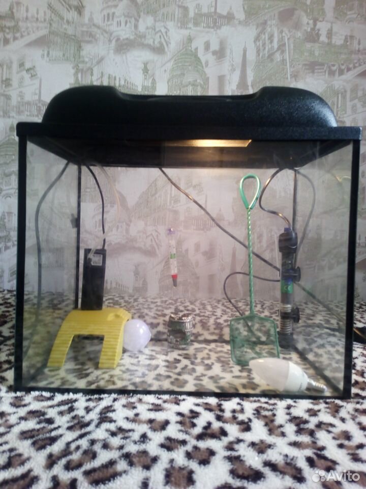 Продам аквариум на 30 л в комплекте купить на Зозу.ру - фотография № 1