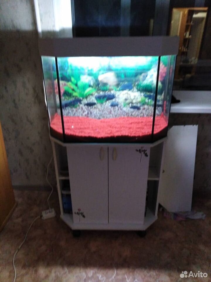 Продам аквариум с тумбой 100л купить на Зозу.ру - фотография № 1
