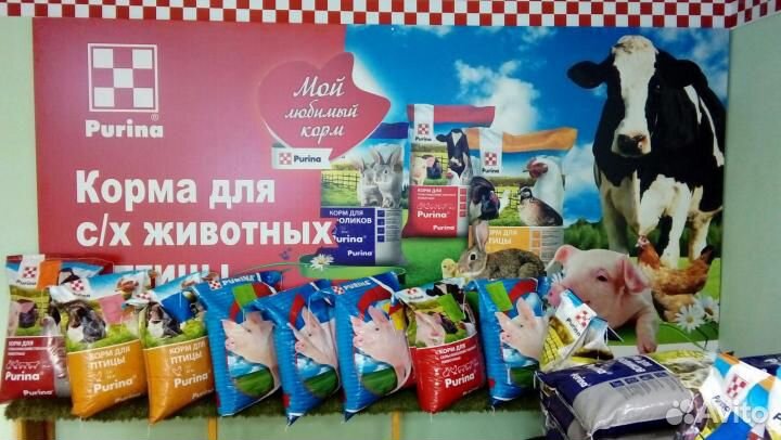 Комбикорм от производителя, качество гарантируется купить на Зозу.ру - фотография № 1
