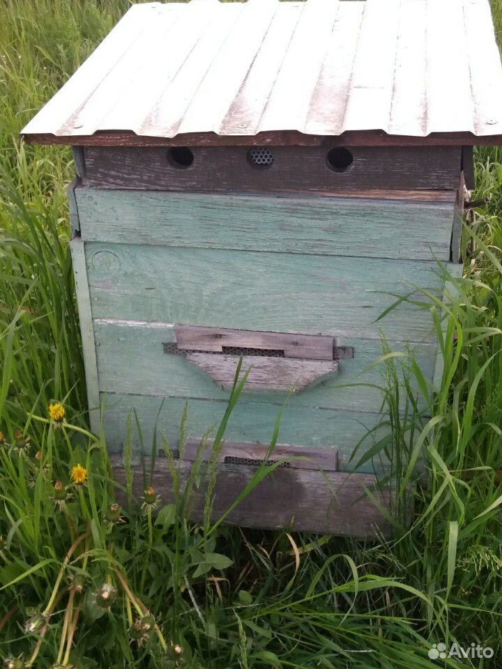 Ульи для пчёл пустые купить на Зозу.ру - фотография № 1