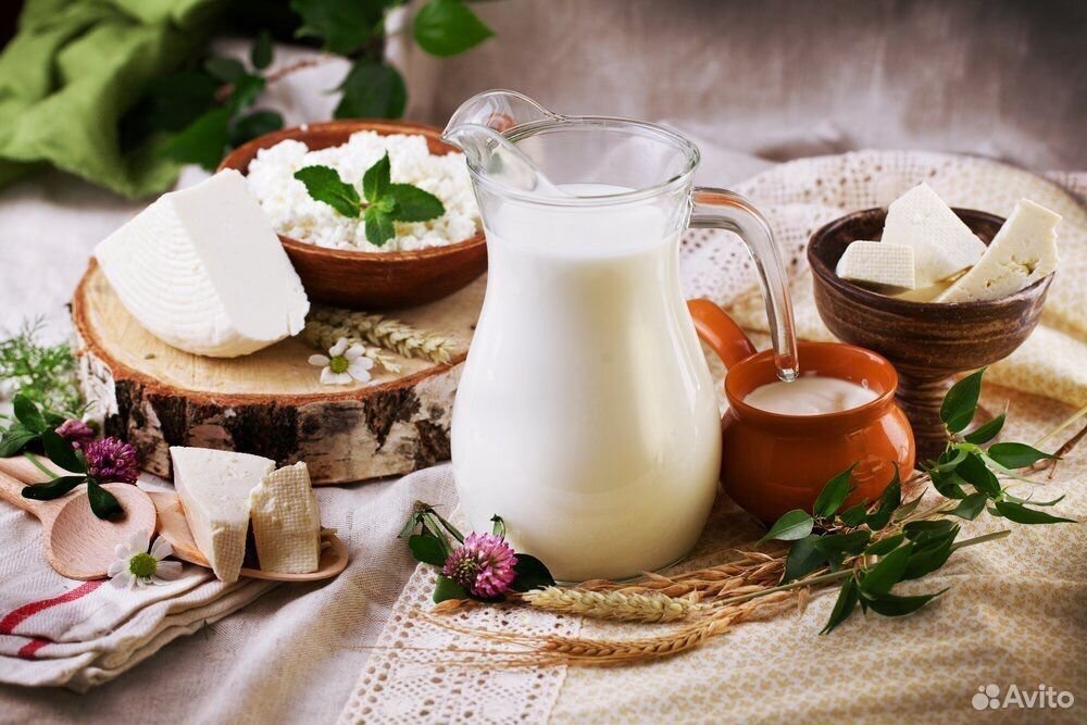 Молоко,сметана,творог,сыр купить на Зозу.ру - фотография № 1