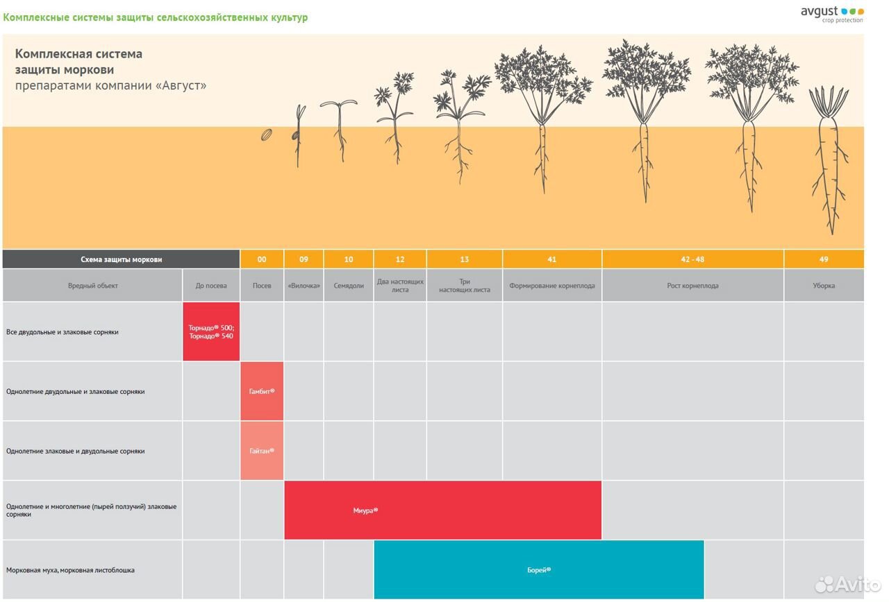 Август схема защиты картофеля