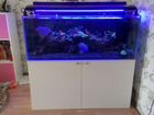 Морской аквариум с внешним сампом объявление продам