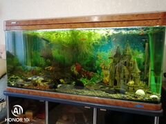 Продам аквариум с рыбами