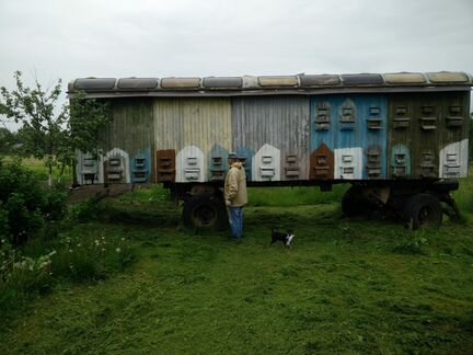 Павильон для пчёл на 40 семей