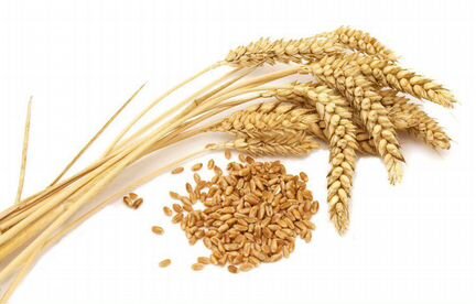 Пшеница (смет со склада)