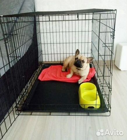 Клетка для собаки 3 размер в Екатеринбурге