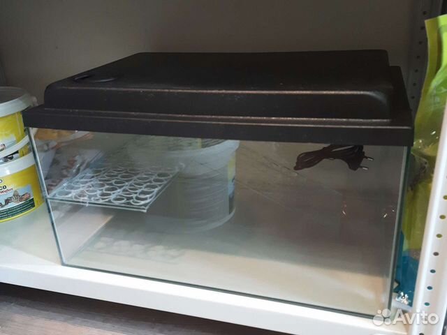 Террариум, аквариум, черепах, лампа, корм