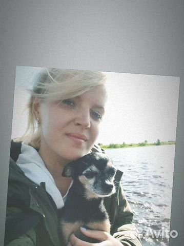 Выгул собак