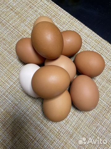 Домашние куриные яйца