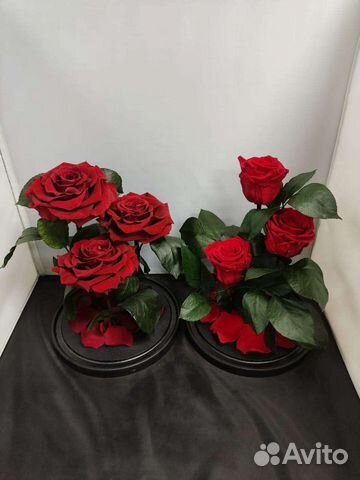 Роза в колбе оптом