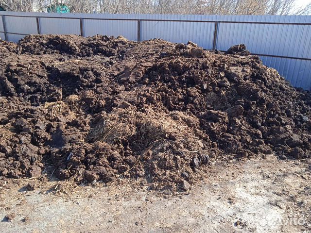 Навоз коровий