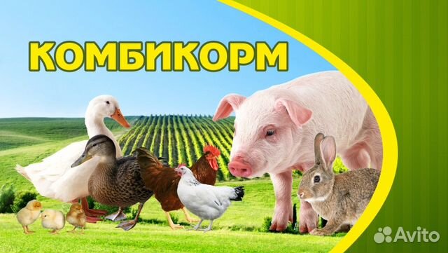 Магазин комбикормов, инкубаторы, зернодробилки купить на Зозу.ру - фотография № 1