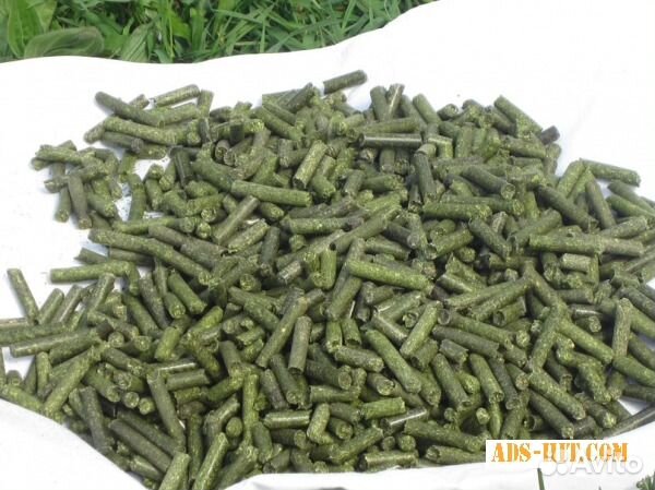 Травяная гранула 3-6 мм(травяная мука) купить на Зозу.ру - фотография № 2