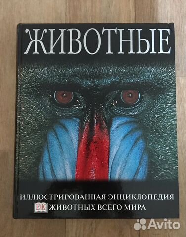 Берни Дэвид: Энциклопедия Животные