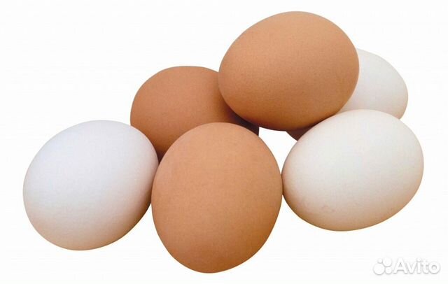 Яйцо домашнее куриное и перепелиное
