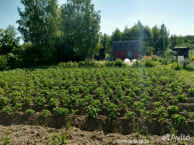 Купить Дом В Александрово Рязанской Области