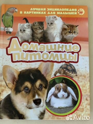 Детские Книги, коллекция энциклопедий для малышей Детские Книги, коллекция энциклопедий для малышей