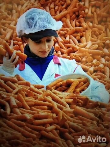 Морковь купить на Зозу.ру - фотография № 1