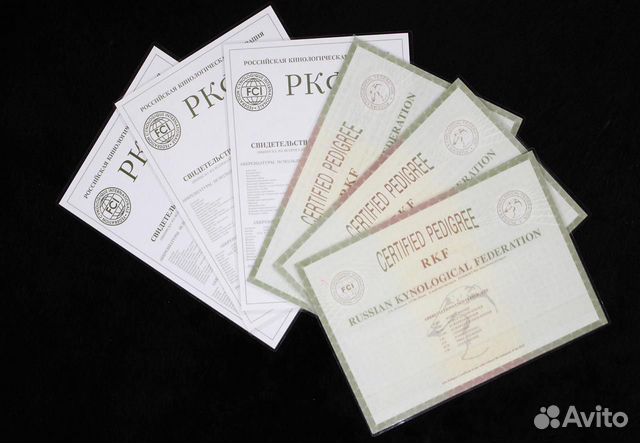 Документы РКФ