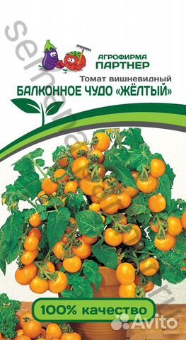 Семена томатов черри Семена томатов черри