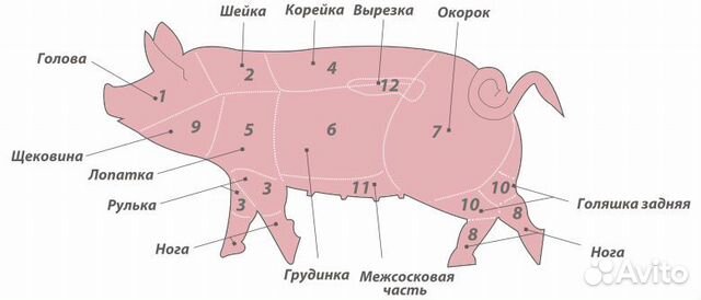 Продам свинину купить на Зозу.ру - фотография № 1