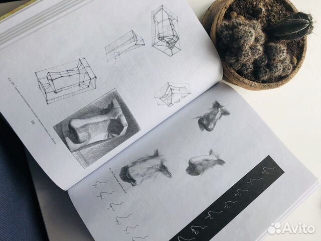 Книга «Основы учебного академического рисунка» Книга «Основы учебного академического рисунка»