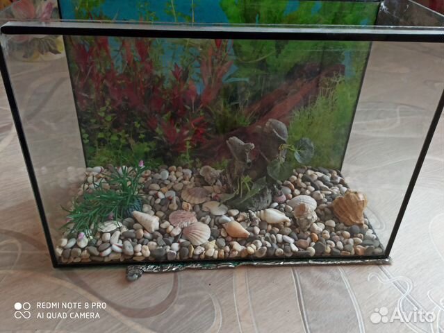 Отдекарированый аквариум с сачками для кормления и купить на Зозу.ру - фотография № 5