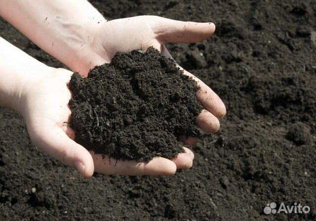 Земля плодородная чернозем