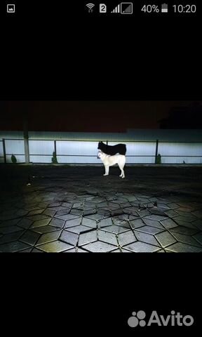 Led фары противотуманки 2шт Led фары противотуманки 2шт