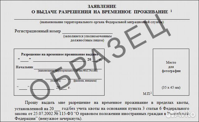 Заявления рвп внж гражданство. Перевод