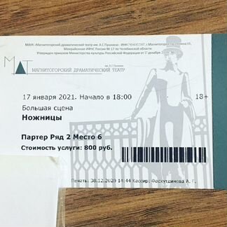 Билет в театр Пушкина «Ножницы»