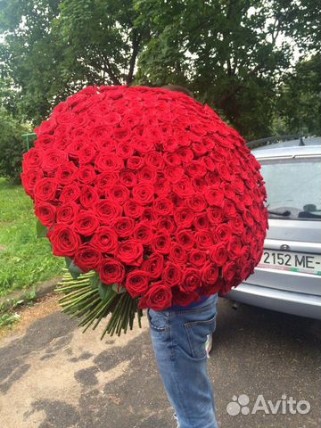 101 роза, красные розы, букет