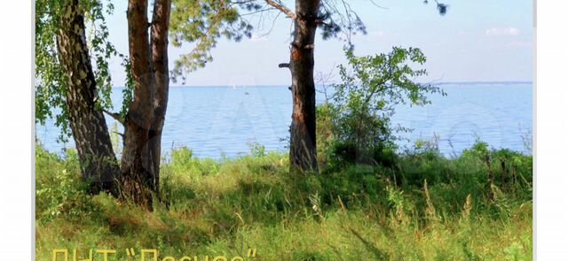 Участок 10 сот. (СНТ, ДНП)