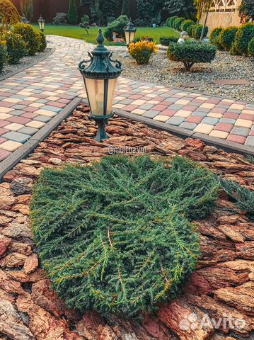 Мульча из коры лиственницы. Укрывной материал